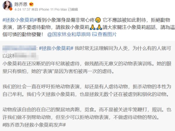 拒绝动物表演!小象莫莉回家! 拒绝动物表演!小象莫莉回家!