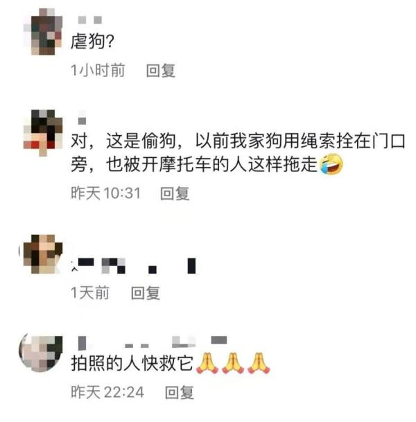 广西一狗狗被皮卡车拖行，是“虐狗”还是偷狗？真相来了