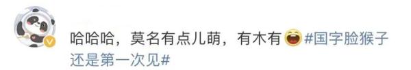 这张“国字脸”火爆全网，一起围观→