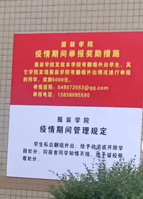 举报学生翻墙奖励5000元，高校回应：不能往钱上引导