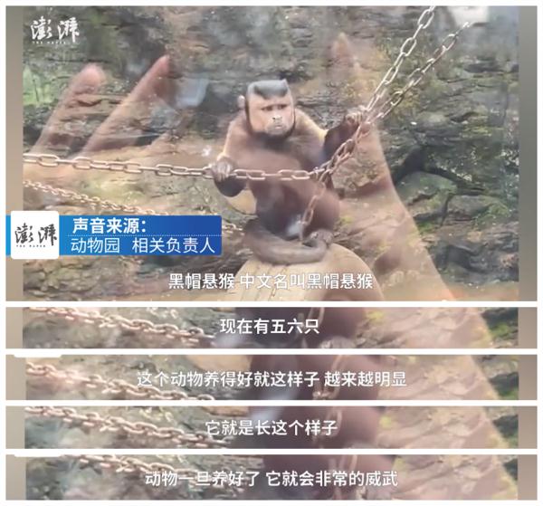 这张“国字脸”火爆全网，一起围观→