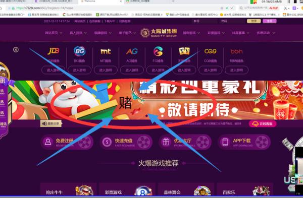 为境外“黑灰产”网站提供链接服务，还屡教不改？刑拘！