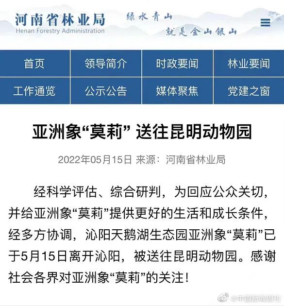 拒绝动物表演!小象莫莉回家! 拒绝动物表演!小象莫莉回家!