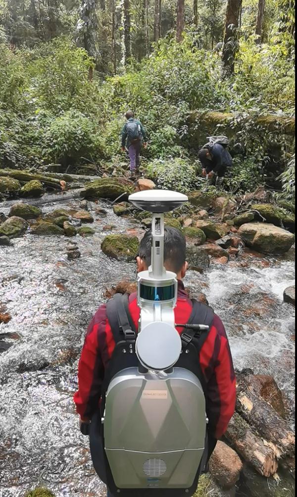 76.8米新“树王”!中国大陆最高树是咋测出来的? 76.8米新“树王”!中国大陆最高树是咋测出来的?