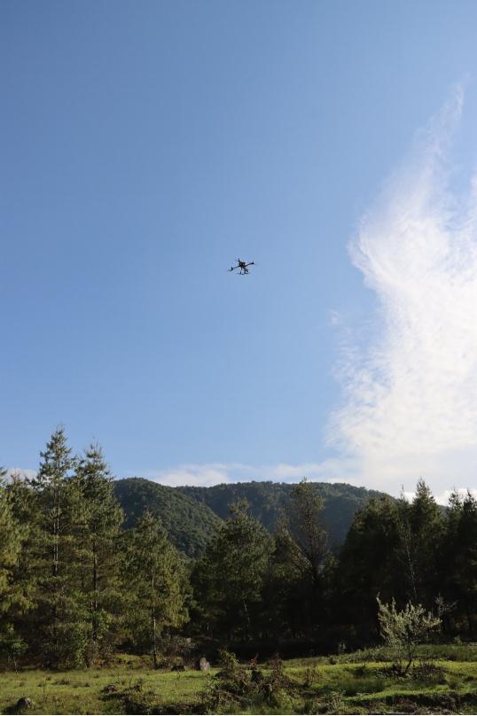 76.8米新“树王”!中国大陆最高树是咋测出来的? 76.8米新“树王”!中国大陆最高树是咋测出来的?