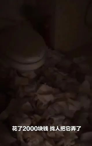 女孩租房2年未扔垃圾，打开房门惊呆了！