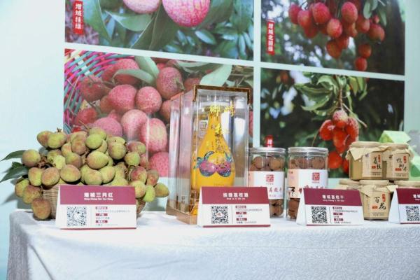 广州荔枝采摘上市 预计今年产量11.4万吨 广州荔枝采摘上市 预计今年产量11.4万吨