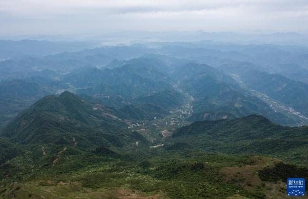 杭州临安:生态警务室护航清凉峰生物多样性保护 杭州临安:生态警务室护航清凉峰生物多样性保护