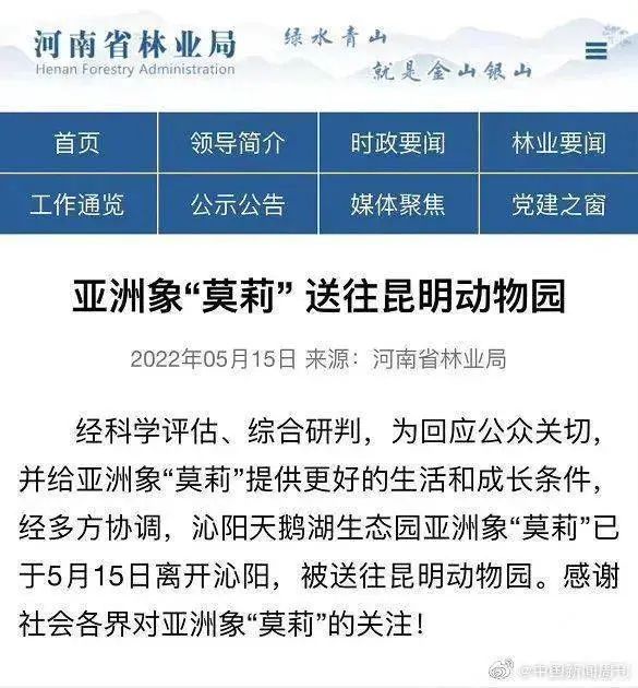 全网拯救的“她”,咋样了? 全网拯救的“她”,咋样了?