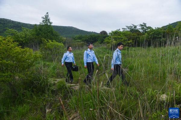 杭州临安:生态警务室护航清凉峰生物多样性保护 杭州临安:生态警务室护航清凉峰生物多样性保护