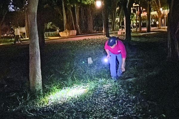 南宁夏夜公园里频现捕蝉人，专家建议慎食“知了”