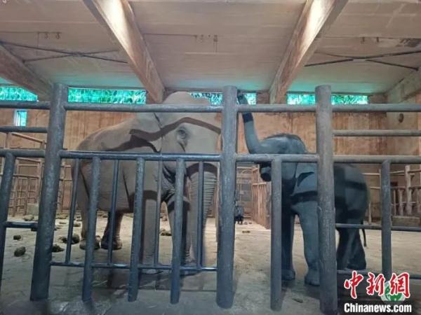 全网拯救的“她”,咋样了? 全网拯救的“她”,咋样了?