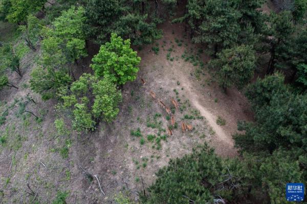 杭州临安:生态警务室护航清凉峰生物多样性保护 杭州临安:生态警务室护航清凉峰生物多样性保护