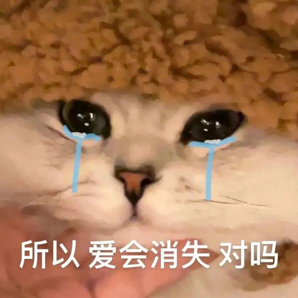 恋爱时转账几十万，男子分手后要女友还钱：超100元都是借的！