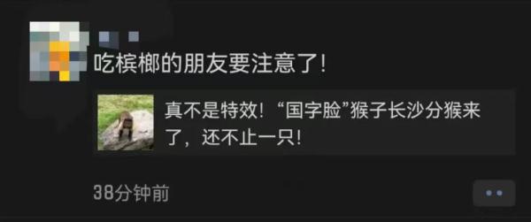 长沙惊现新晋网红！饲养员揭秘：吃着吃着就发腮了...