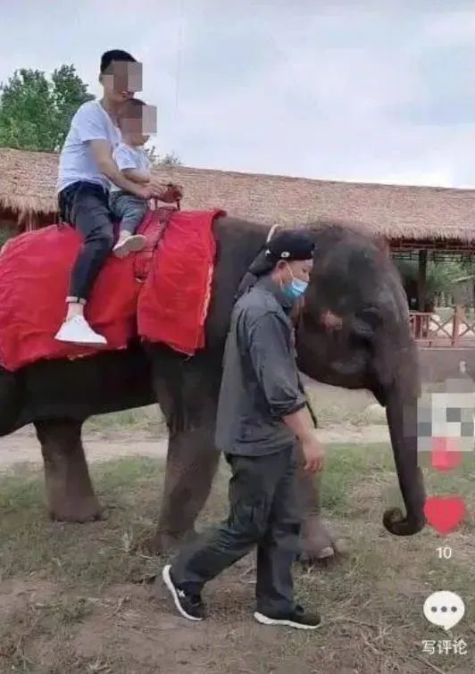 全网拯救的“她”,咋样了? 全网拯救的“她”,咋样了?