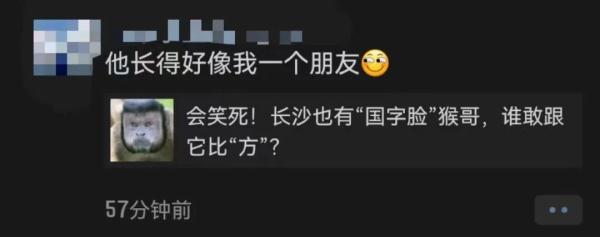 长沙惊现新晋网红！饲养员揭秘：吃着吃着就发腮了...