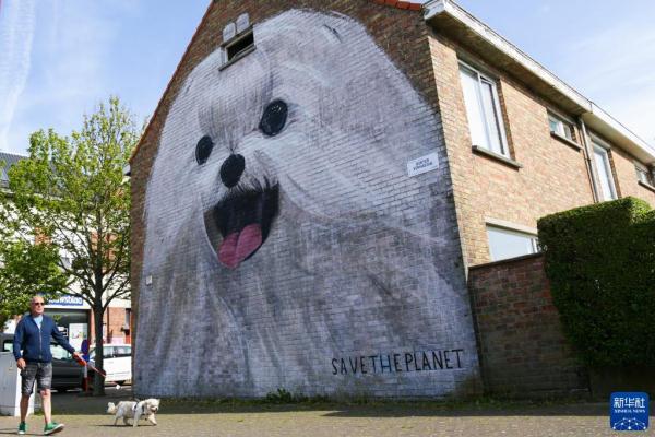 5月18日,一名男子牵着狗经过比利时奥斯坦德一处建筑墙壁上的绘画作品