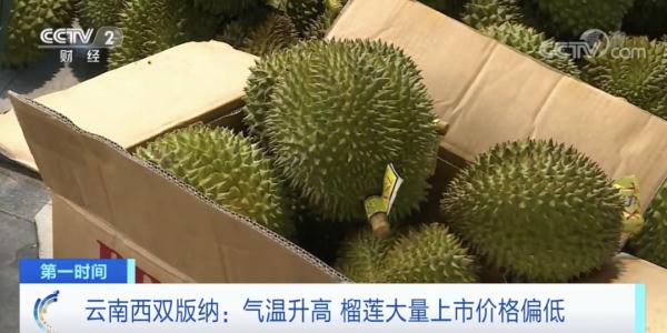 价格下降不少！很多云南人爱吃的它，正大量上市
