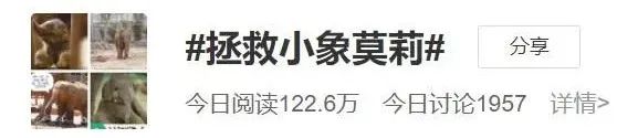 全网拯救的“她”,咋样了? 全网拯救的“她”,咋样了?