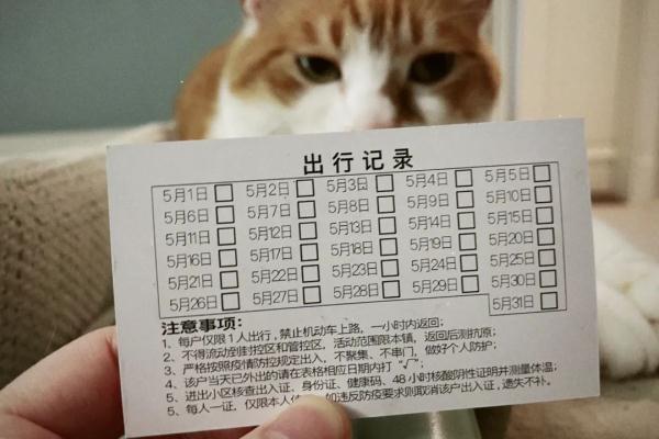 上海一些居民可以外出了，不少人晒出通行证、出入证、邀请卡…