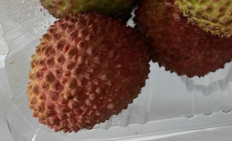 “荔枝病”到底是咋回事儿?专家告诉你真相 “荔枝病”到底是咋回事儿?专家告诉你真相