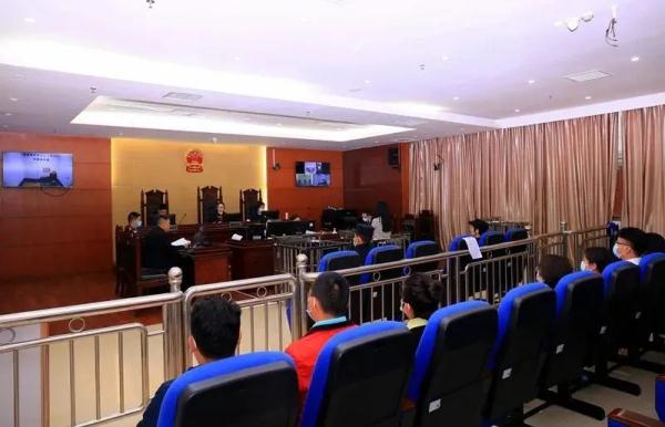 残忍…82万网友在线“揪心”！判了！