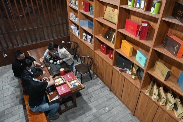 福建光泽：干坑红茶让茶农走上致富路