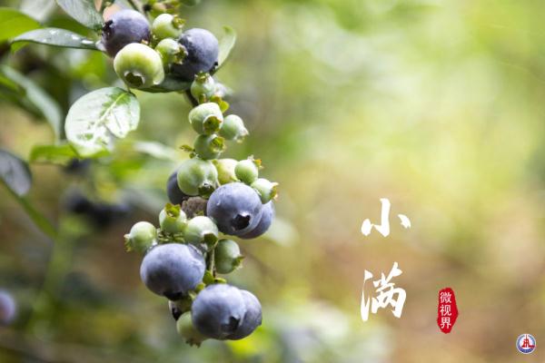 小满，刚刚好的美