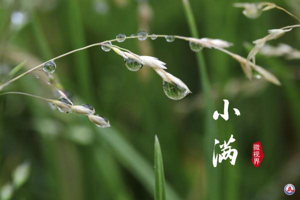 小满，刚刚好的美