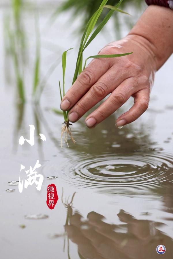 小满，刚刚好的美