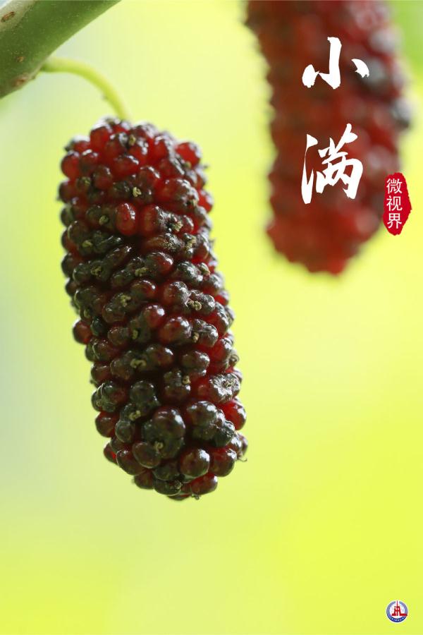 小满，刚刚好的美