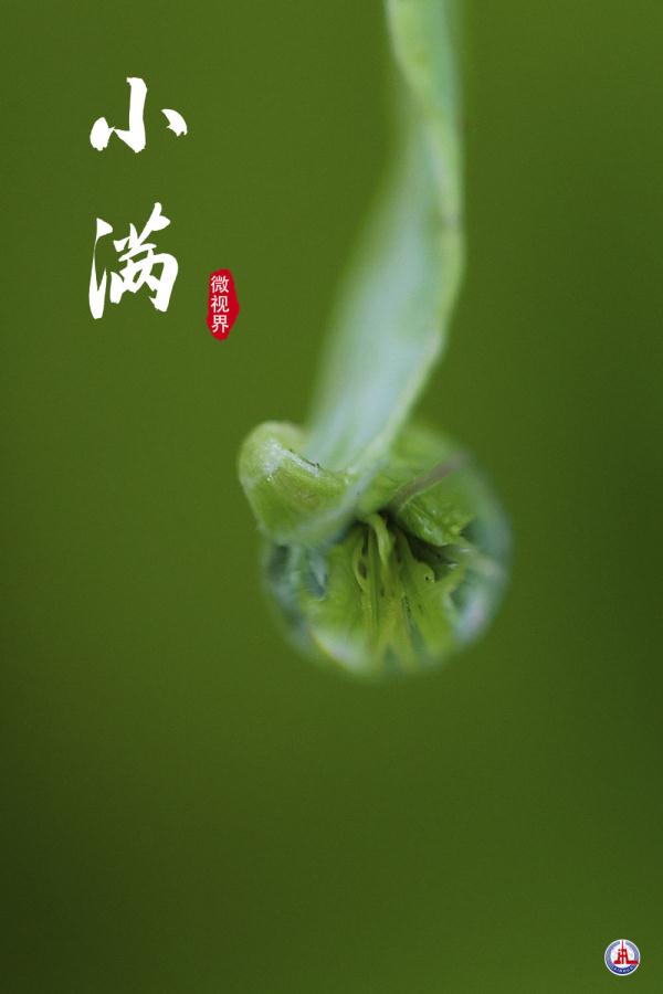 小满，刚刚好的美