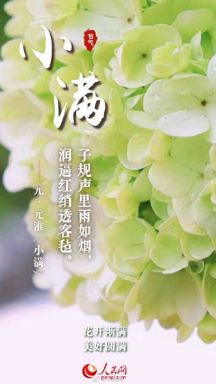 当古诗词遇上小满