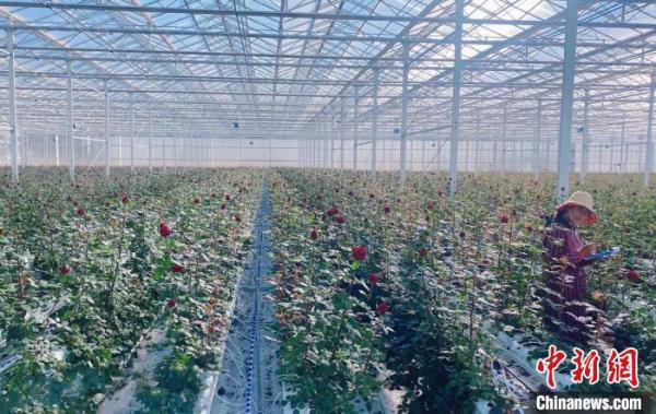 疫情中的“520”如何表达爱?上海人选择“外卖传情” 疫情中的“520”如何表达爱?上海人选择“外卖传情”