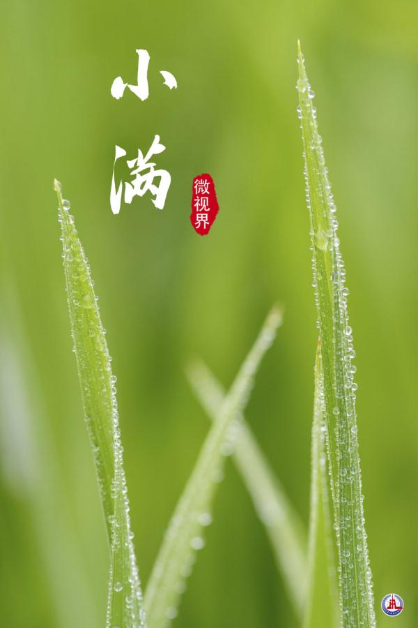小满，刚刚好的美