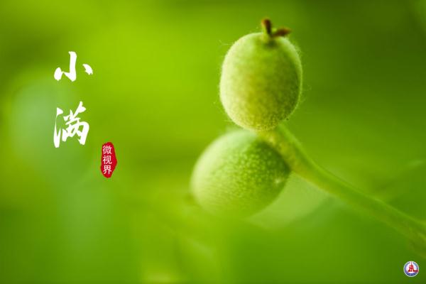 小满，刚刚好的美