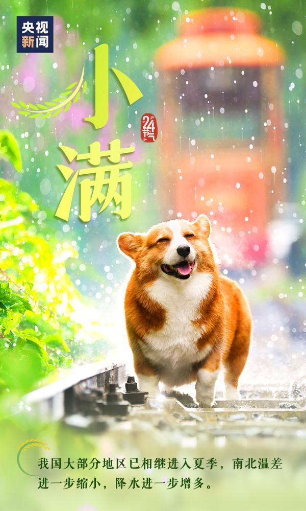 今日,小满,愿你笑容满满 今日,小满,愿你笑容满满