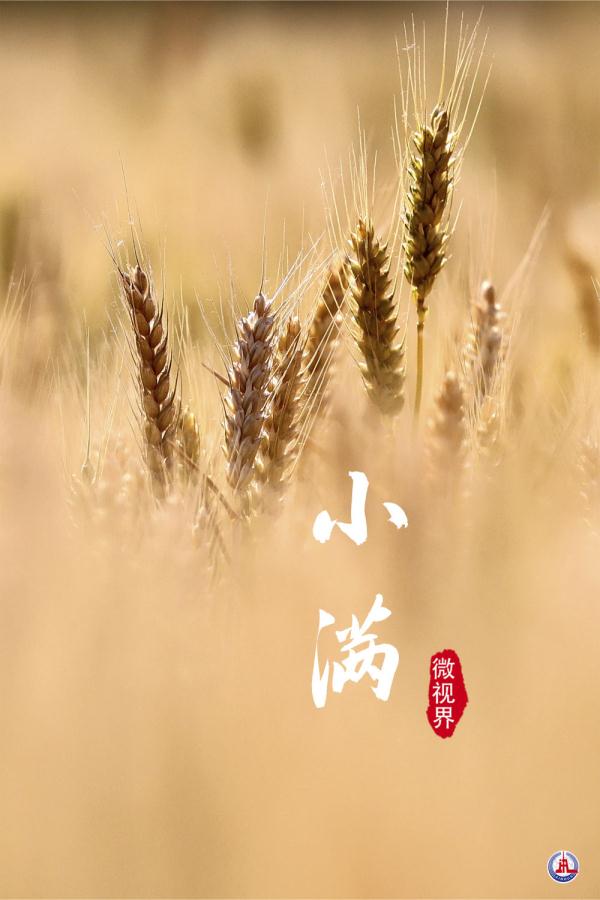 小满，刚刚好的美