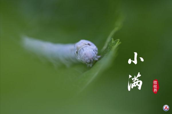 小满，刚刚好的美