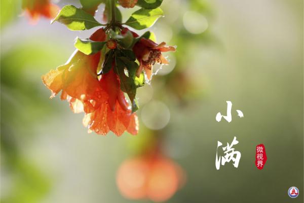小满，刚刚好的美