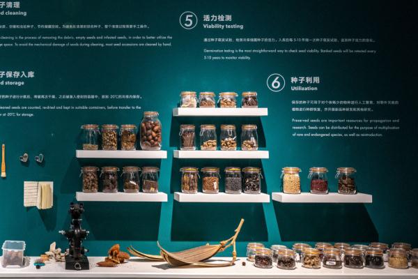 关于种子你好奇的这些事儿,我们找到了答案 关于种子你好奇的这些事儿,我们找到了答案