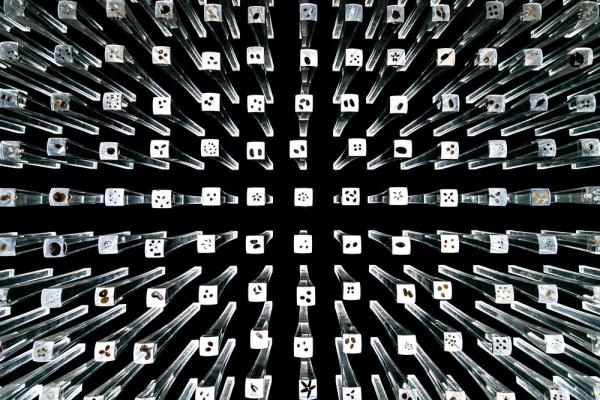 关于种子你好奇的这些事儿,我们找到了答案 关于种子你好奇的这些事儿,我们找到了答案