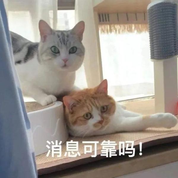 设多个闹钟对身体有害？网友慌了……
