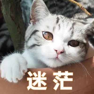 设多个闹钟对身体有害？网友慌了……