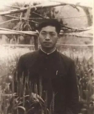 一把稻、一把刀!今天,缅怀双“星”! 一把稻、一把刀!今天,缅怀双“星”!