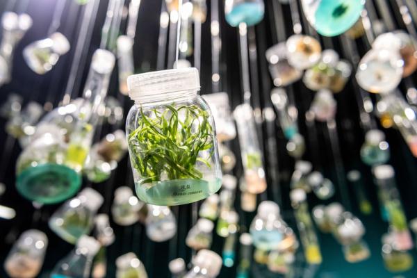 关于种子你好奇的这些事儿,我们找到了答案 关于种子你好奇的这些事儿,我们找到了答案