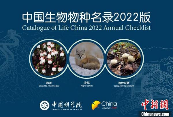 中国生物多样性最新“家底”公布 收录物种及种下单元13.8万多个
