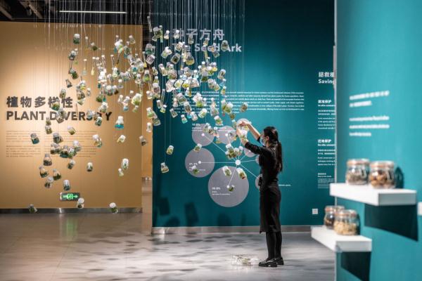 关于种子你好奇的这些事儿,我们找到了答案 关于种子你好奇的这些事儿,我们找到了答案