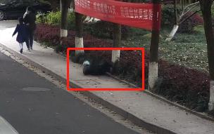 一块香蕉皮，要赔近2万元